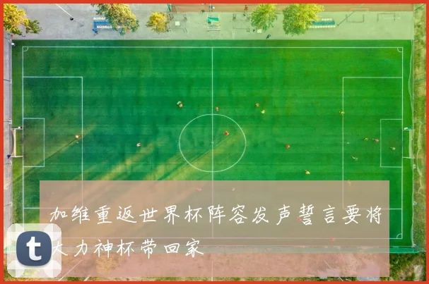 加维重返世界杯阵容发声誓言要将大力神杯带回家