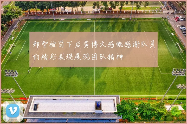 郑智被罚下后黄博文感慨感谢队员们精彩表现展现团队精神