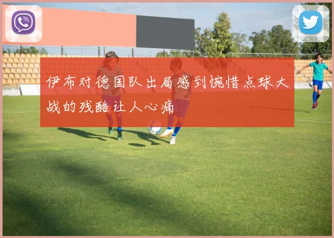 伊布对德国队出局感到惋惜点球大战的残酷让人心痛